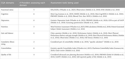 Examining provider perceptions and practices for comprehensive geriatric assessment among cancer survivors: a qualitative study with an implementation science focus